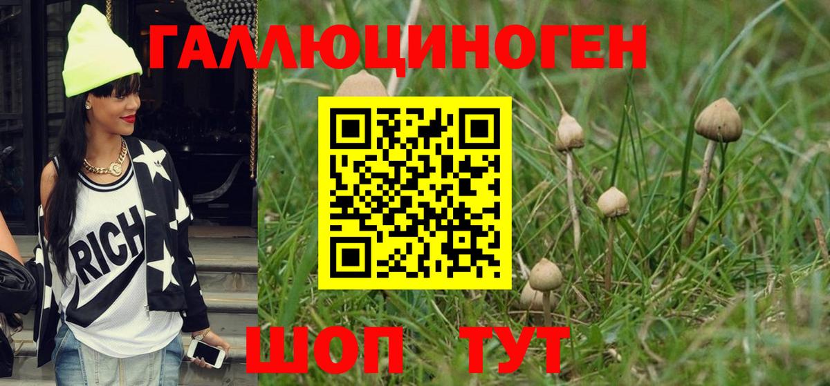 Галлюциногенные грибы прущие грибы  Вход с VPN  Глазов 
