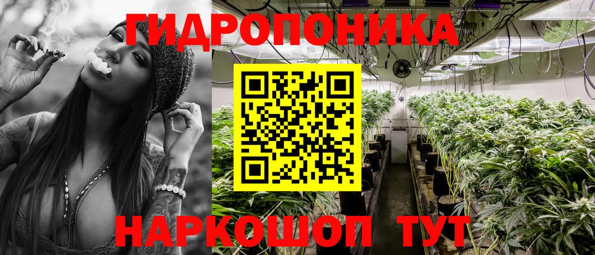 Шишки марихуана марихуана Глазов